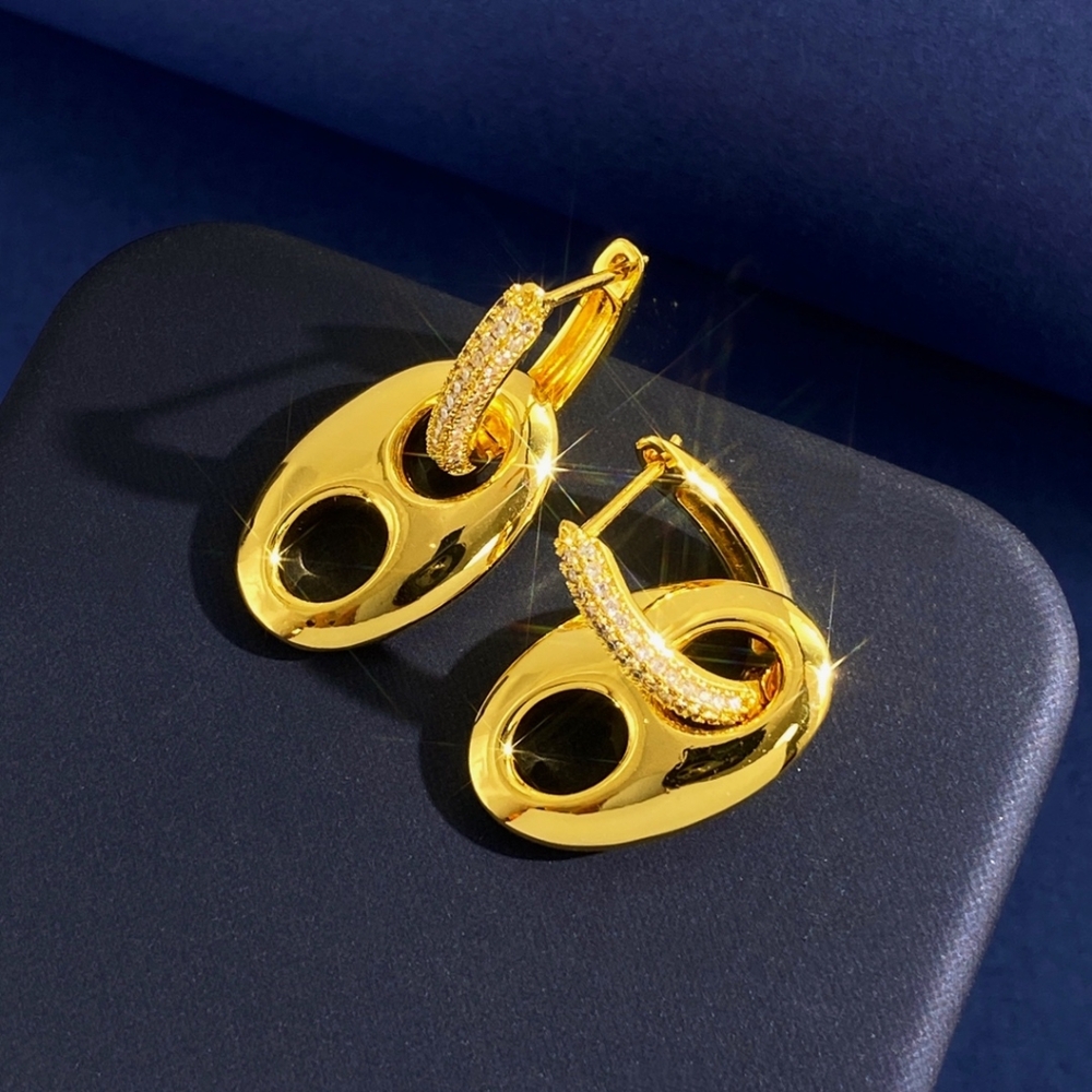 Hermès earrings